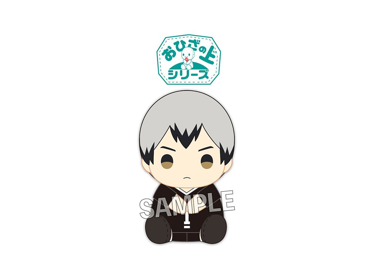 Haikyu!!: Ohizanoue Series Shinsuke Kita