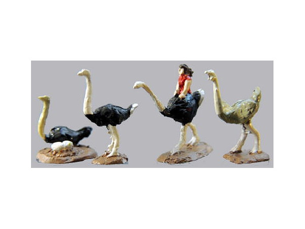 Common Ostrich Set