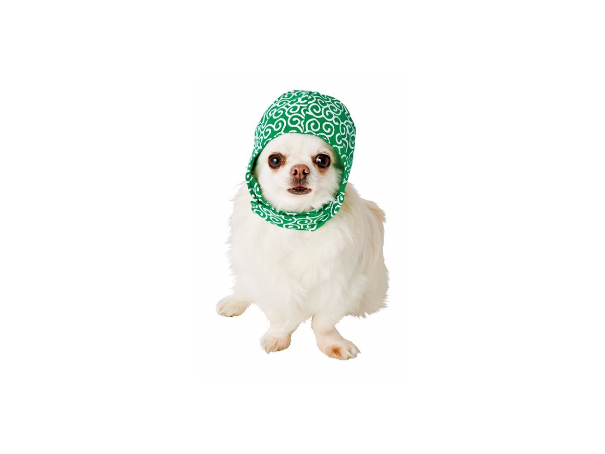 Pet Goods: Japanese Thief Cap For Dogs S