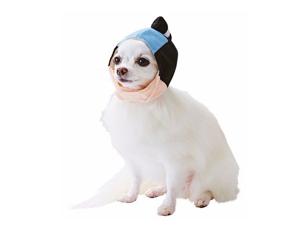 Pet Goods: Japanese Top-Knot Cap For Dogs S