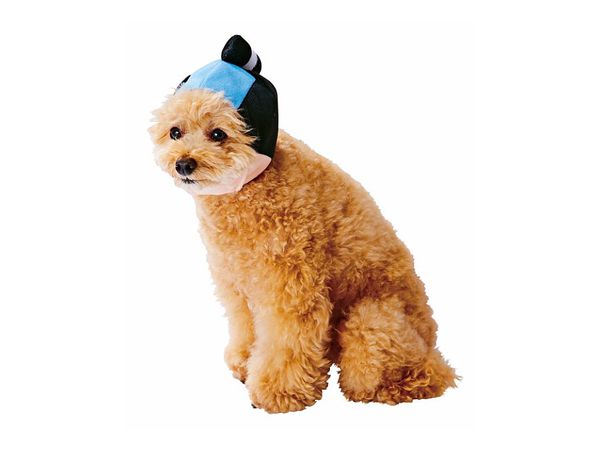 Pet Goods: Japanese Top-Knot Cap For Dogs M