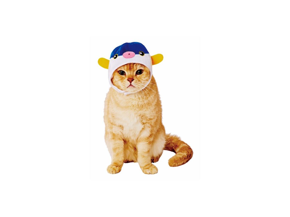 Pet Goods: Japanese Fish Cap For Cats