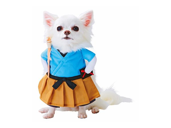 Pet Goods: Kigurumi Urashimataro Costume For Dogs S