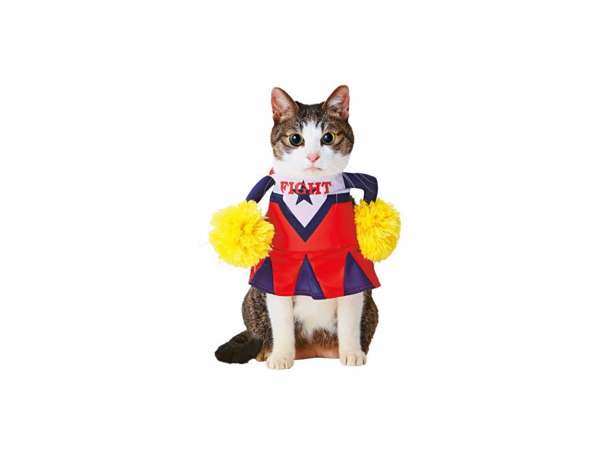 Pet Goods: Kigurumi Cheerleader Uniform For Cats