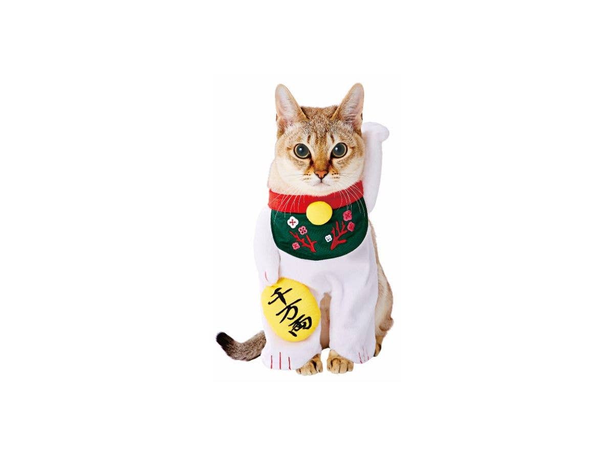 Pet Goods: Kigurumi Manekineko Costume For Cats