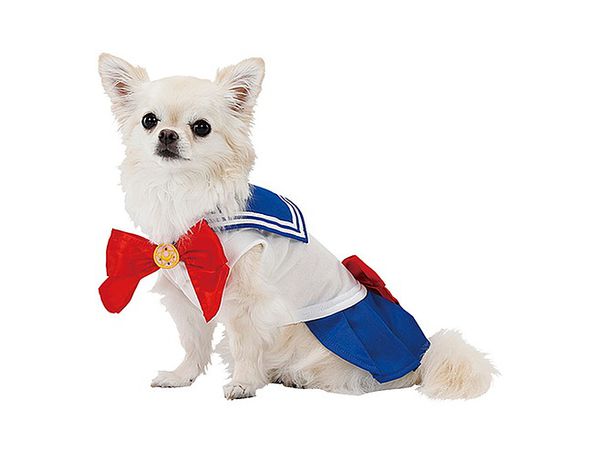 Sailor Moon Pet Goods: Sailor Moon Dog Costume XS