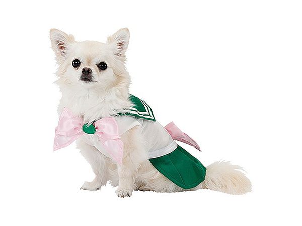 Sailor Moon Pet Goods: Sailor Jupiter Dog Costume SS