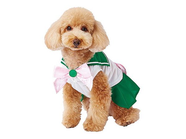 Sailor Moon Pet Goods: Sailor Jupiter Dog Costume S