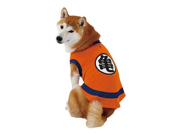 Dragon Ball Pet Goods: Goku's Kame School Costume for Dogs M