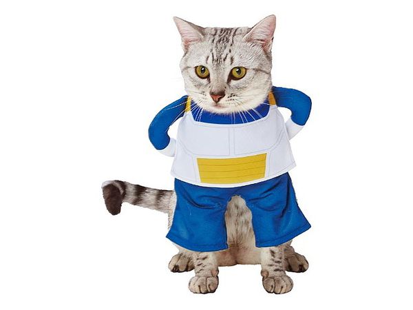 Dragon Ball Pet Goods: Kigurumi Transformation Costume for Cats Vegeta