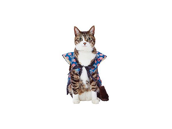 Pet Goods: Nekokomachi Japanese Vest Ball AWU L
