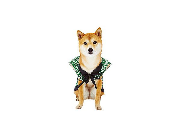 Pet Goods: Inumiyabi Japanese Vest Arabesque AWU L
