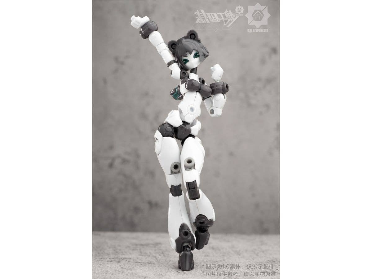 Gene Interference Series QK-ST-002 Plastic Model Kit