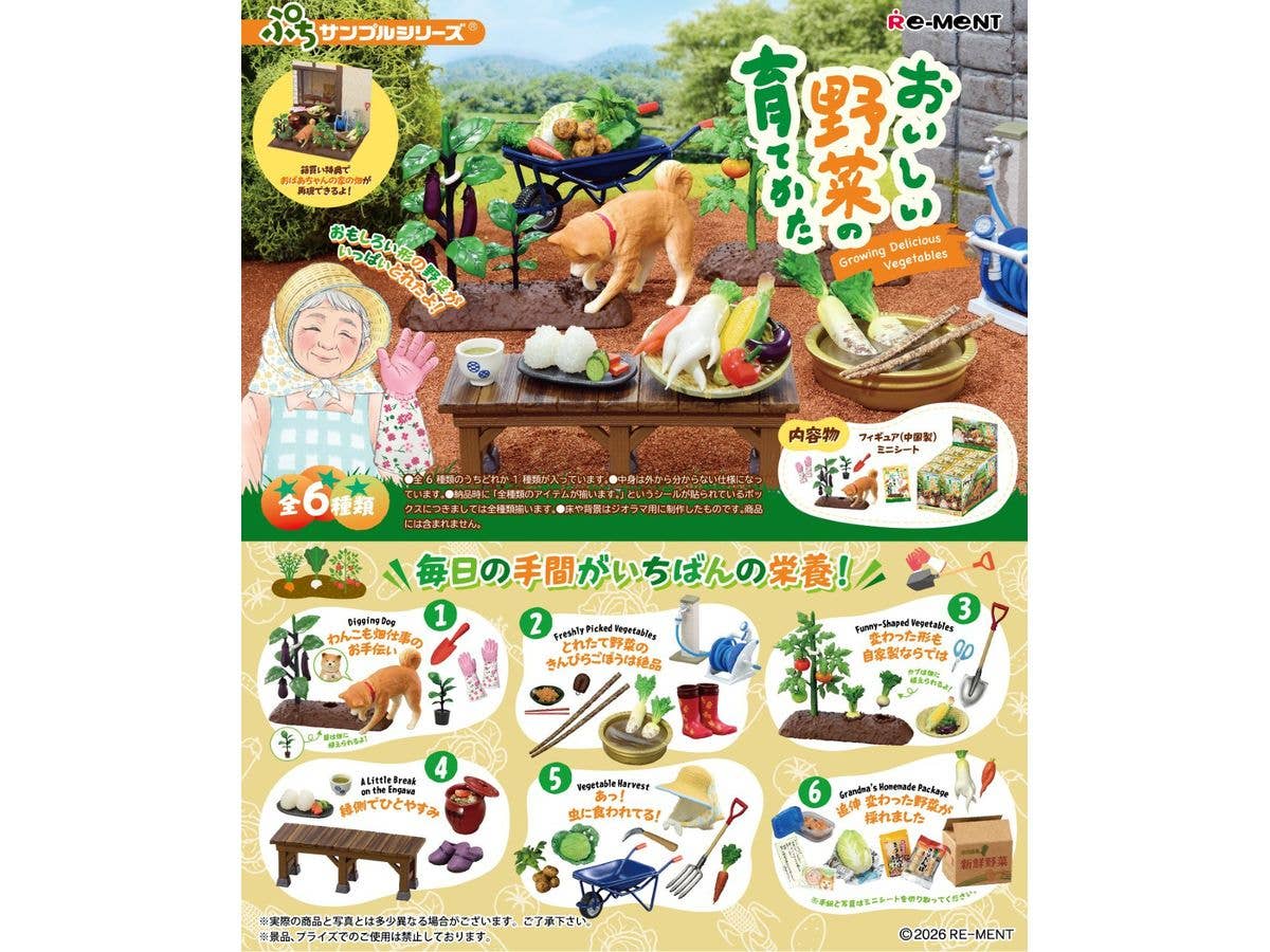 How to Grow Delicious Vegetables (1 Box, 6pcs)
