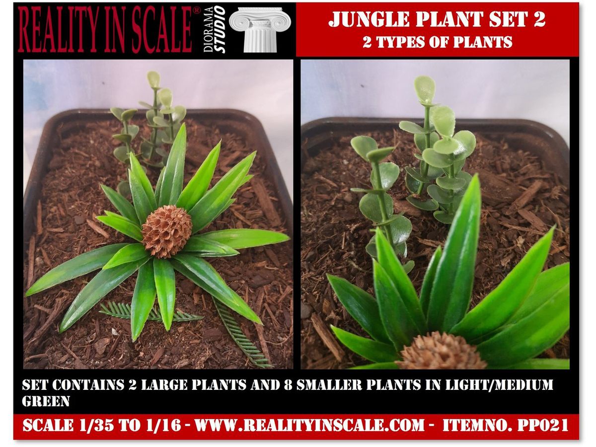 Jungle Plants Set 2 Contains 2 types of plants (1/16 - 1/35)