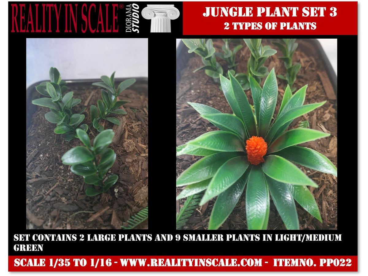 Jungle Plants Set 3 Contains 2 types of plants (1/16 - 1/35)