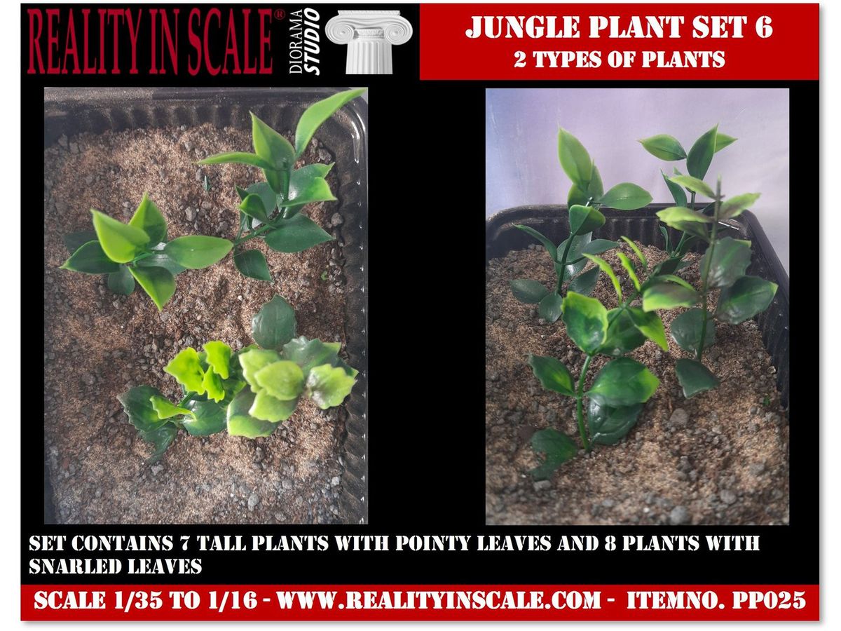 Jungle Plants Set 6 Contains 2 types of plants (1/16 - 1/35)
