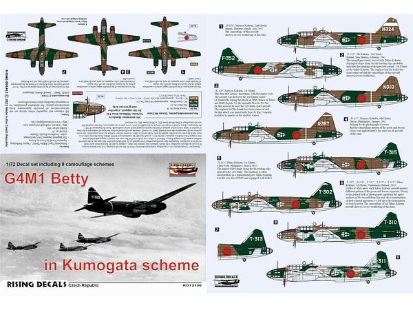 Betty in Kumogata Scheme