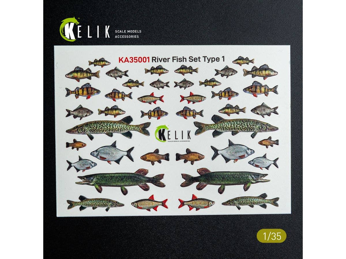 River Fish set Type 1 - 3D Decal for dioramas