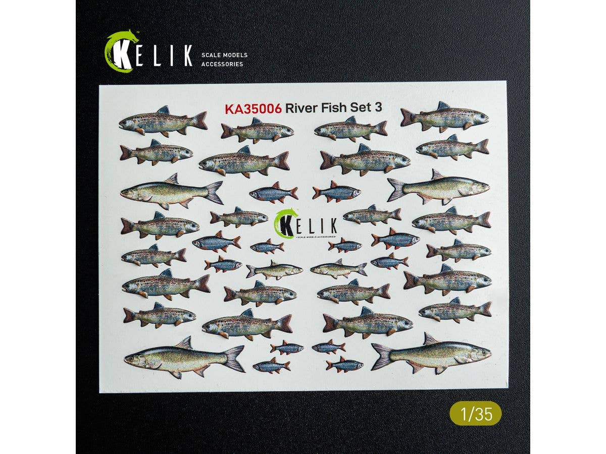River Fish set Type 3 - 3D Decal for dioramas