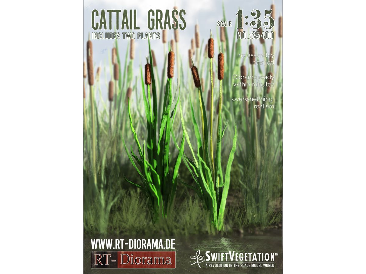 Cattail Grass