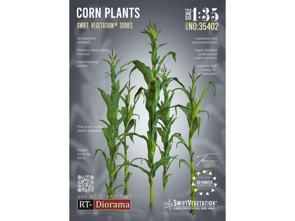 Corn Plants