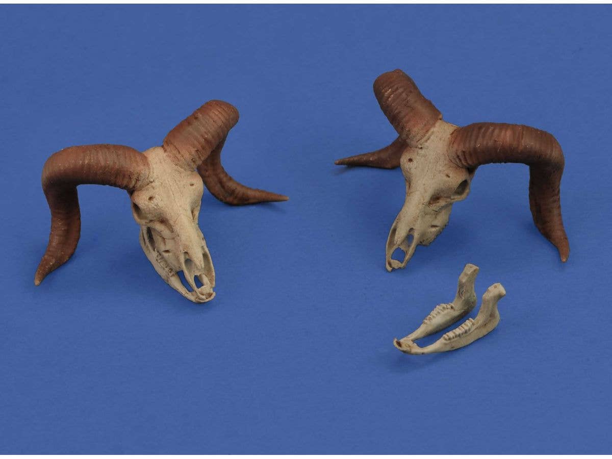 Diorama Accessories Mufflon Skulls (2pcs)