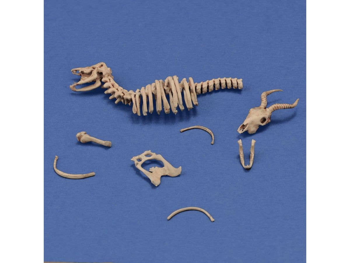 Diorama Accessories Antelope Skeleton