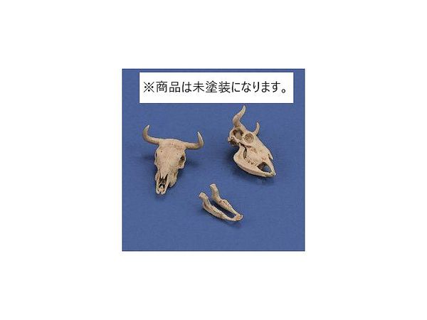 Diorama Accessories Cow Skull