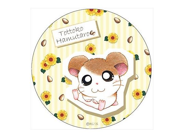 Hamtaro: Hamtaro Can Mirror