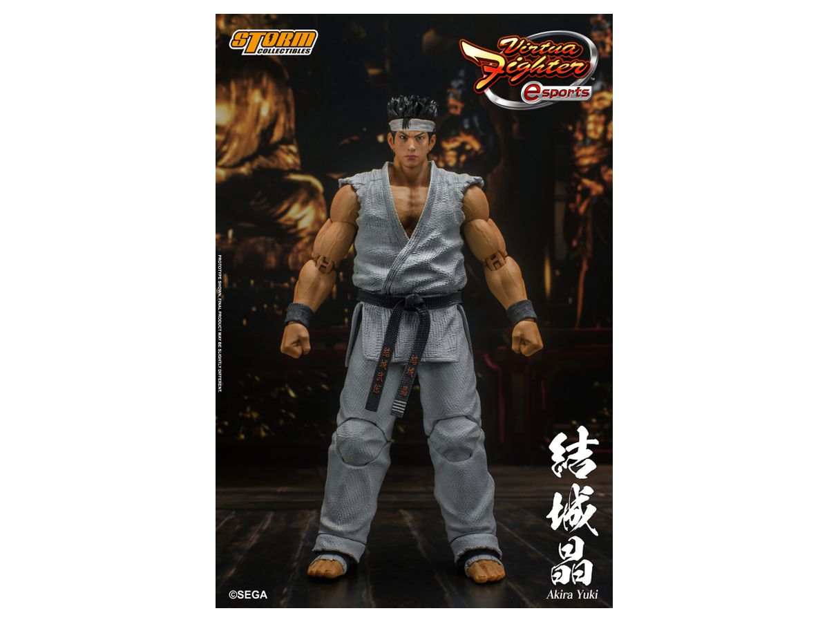 Virtua Fighter eSports Action Figure Akira Yuki