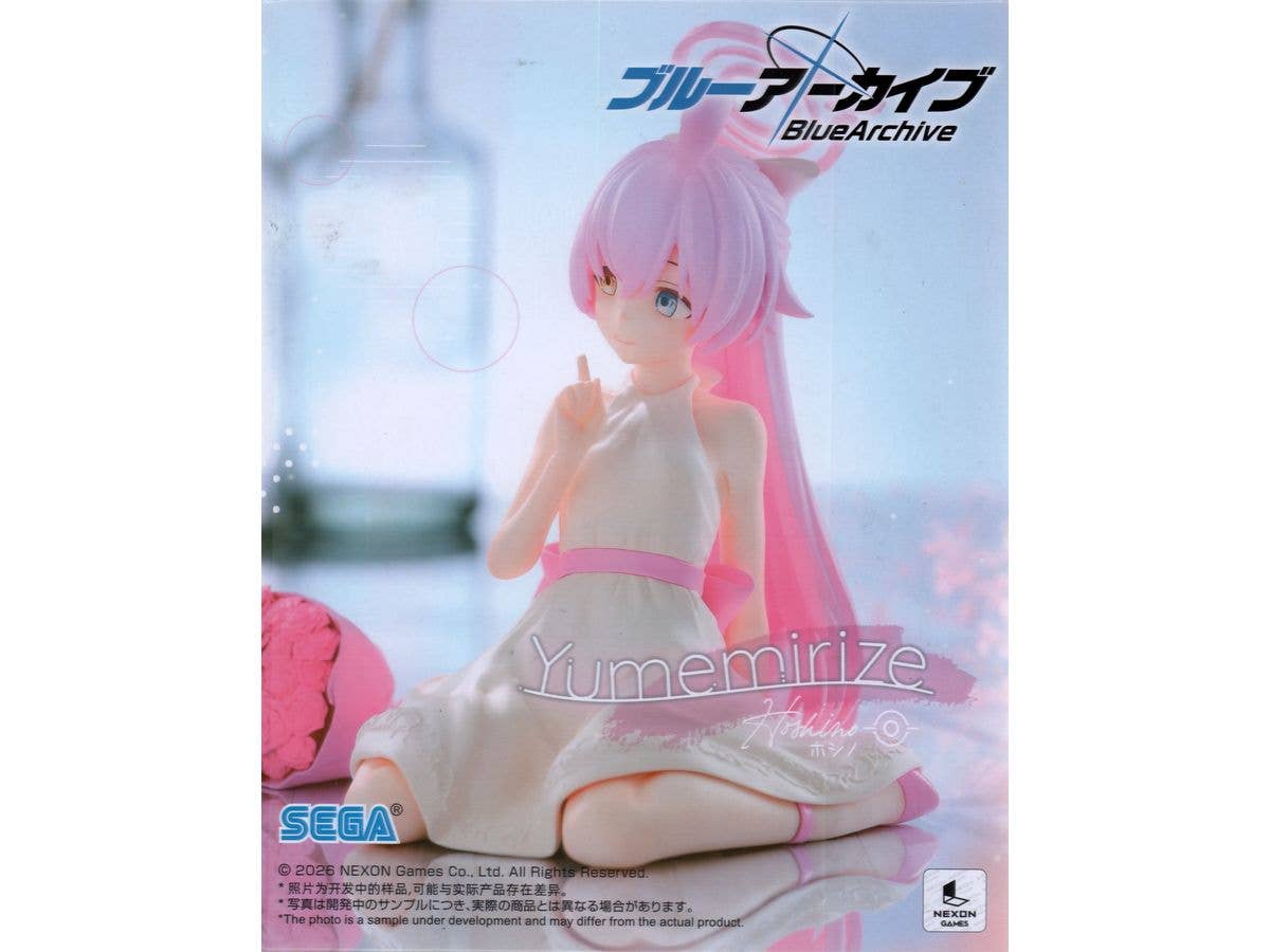 [Used Item: Unopened] Blue Archive Yumemirize Hoshino