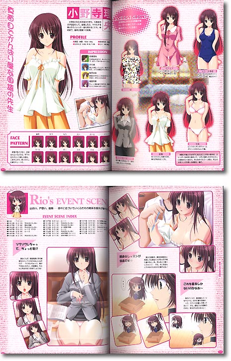 Private Teacher Visual Works