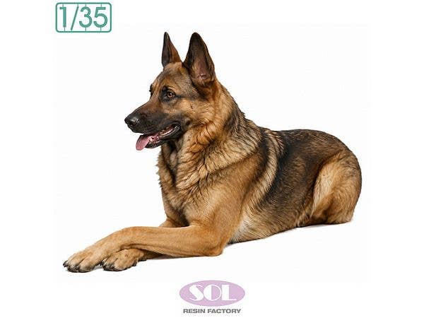 German Shepherd Lying Down Pose