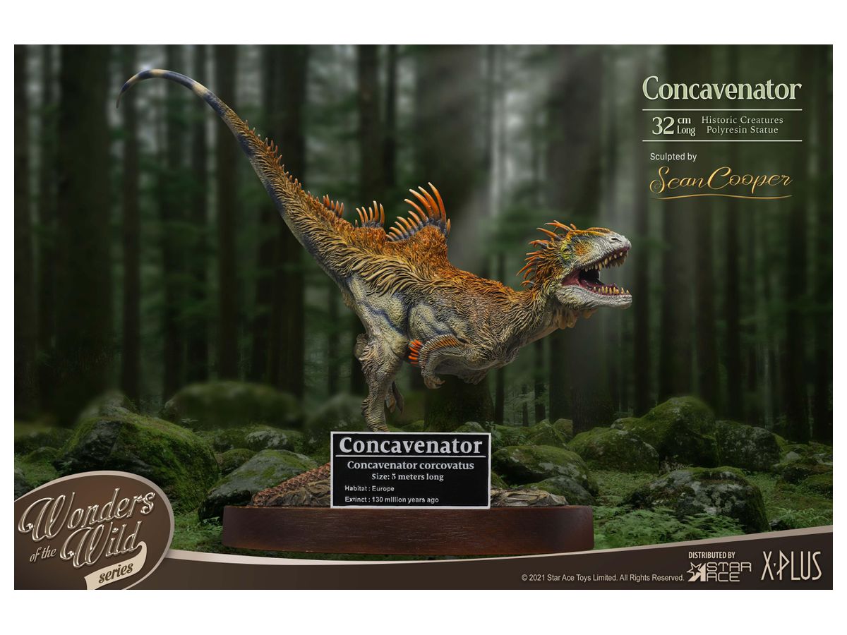 Concavenator Polyresin Statue