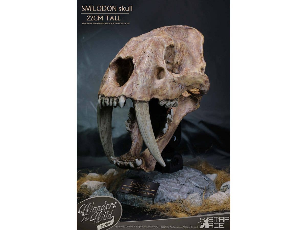 Wonders of the Wild Smilodon Skull Replica