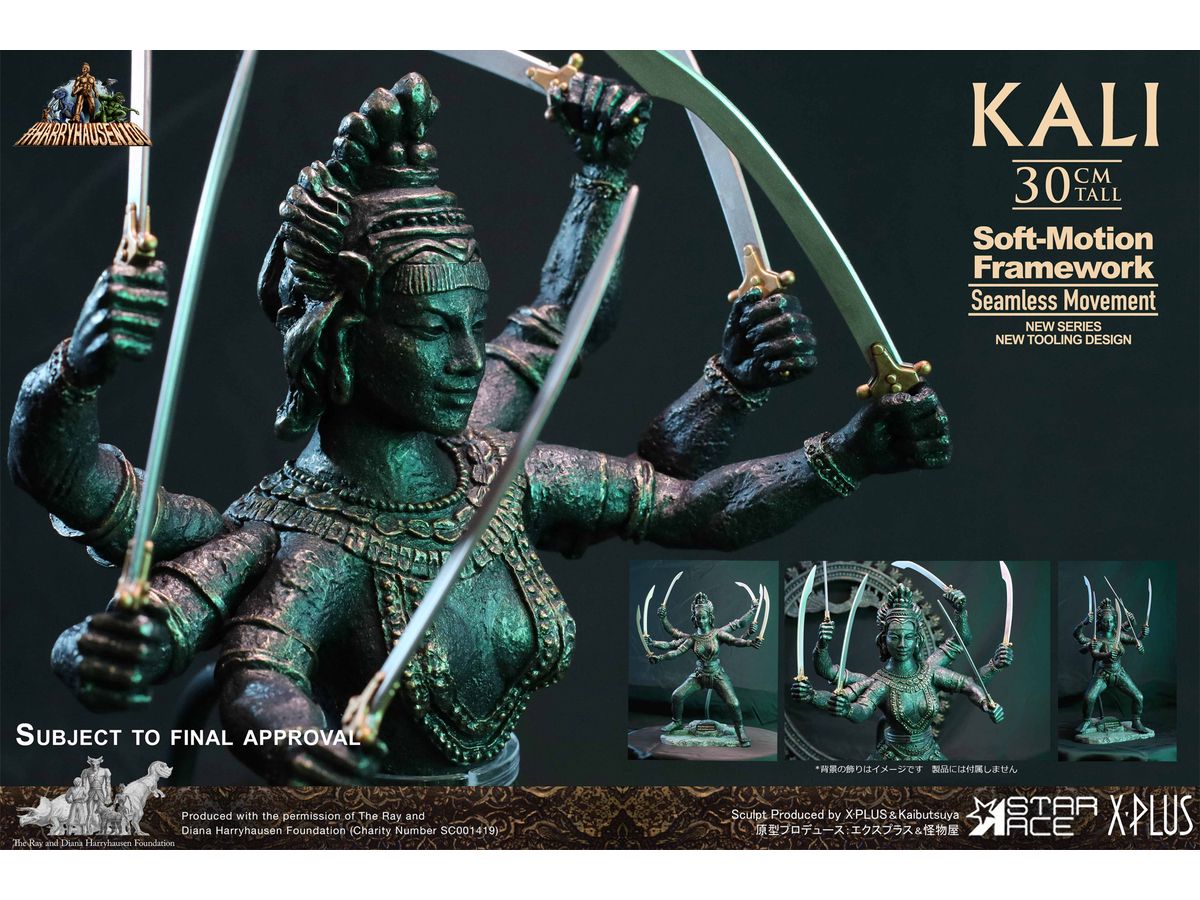Kali Soft-Motion Framework