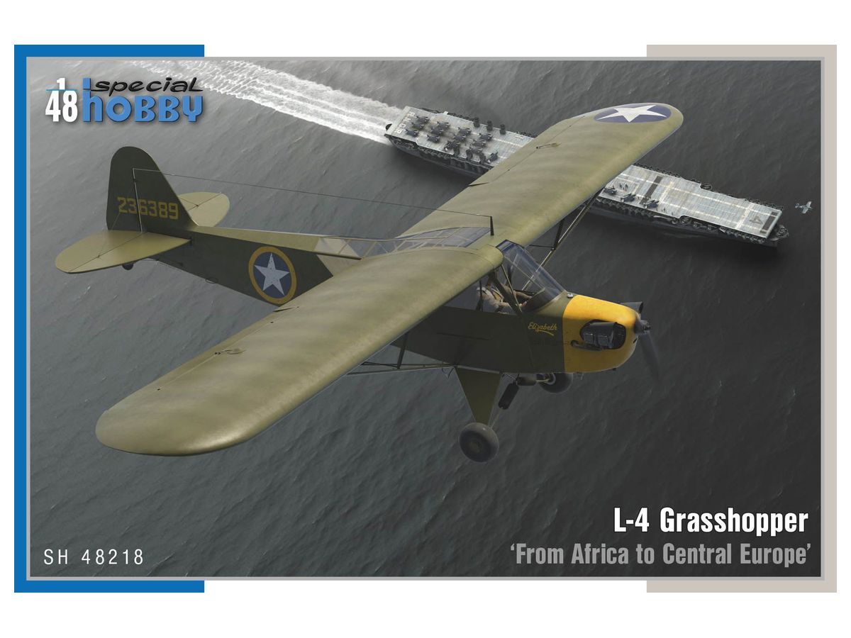L-4 Grasshopper 'From Africa to Central Europe'
