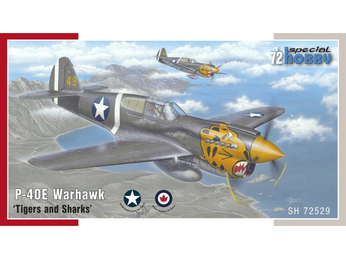 P-40E Warhawk 'Tigers and Sharks'