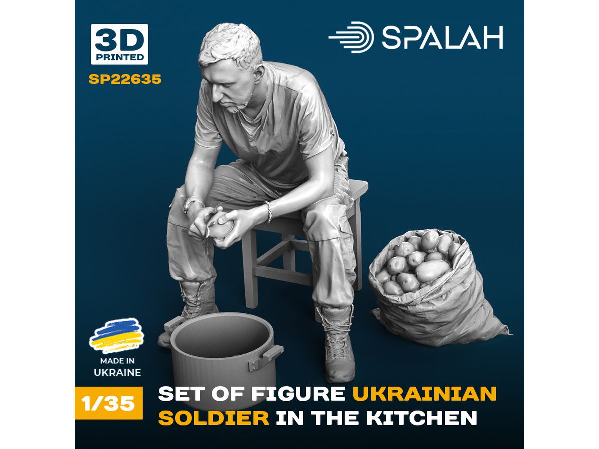 Set of scale models and figure Ukrainian soldier in the kitchen