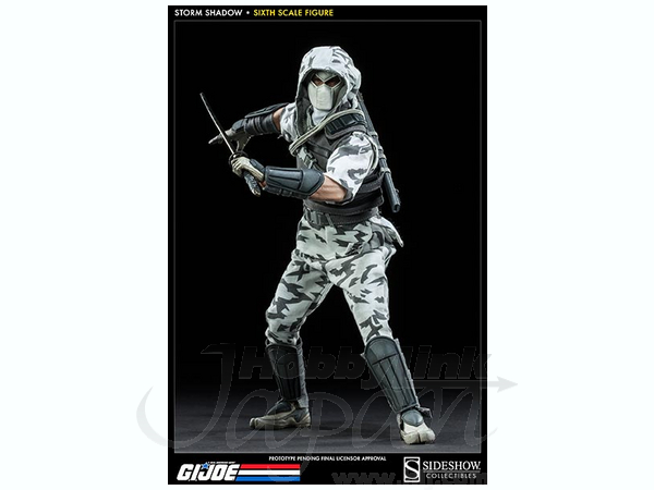 G.I. Joe/ Storm Shadow Assassin