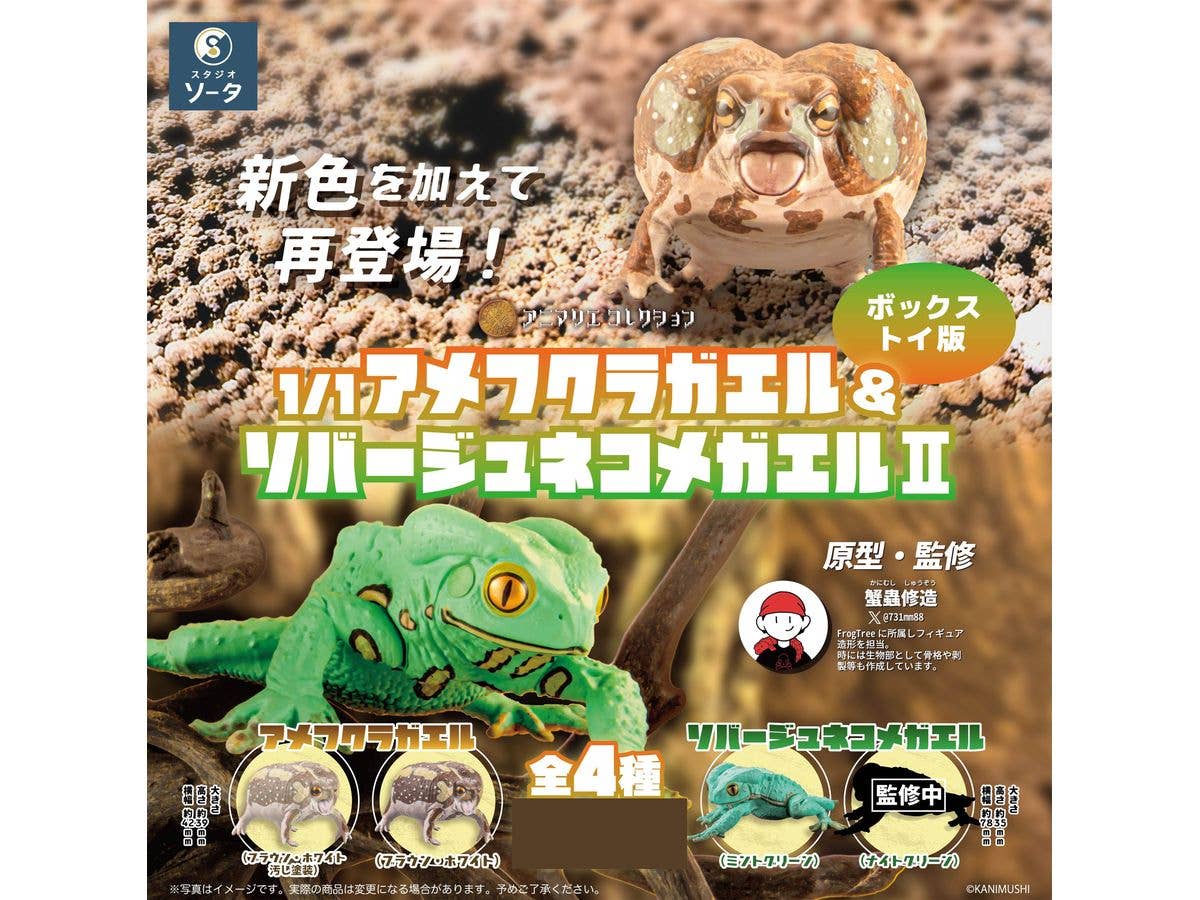 Animalier Collection: Breviceps Adspersus & Phyllomedusa Sauvagii II 1Box 4pcs