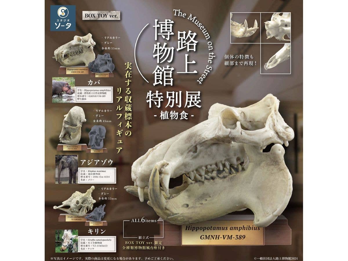 The Museum on the Street Special Exhibition Plant Food: 1Box (6pcs)