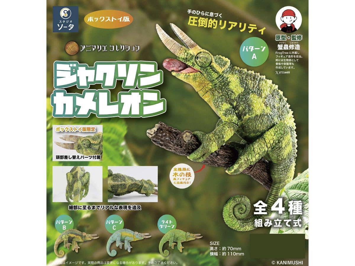 Animalier Collection Jackson's Chameleon: 1Box (4pcs)