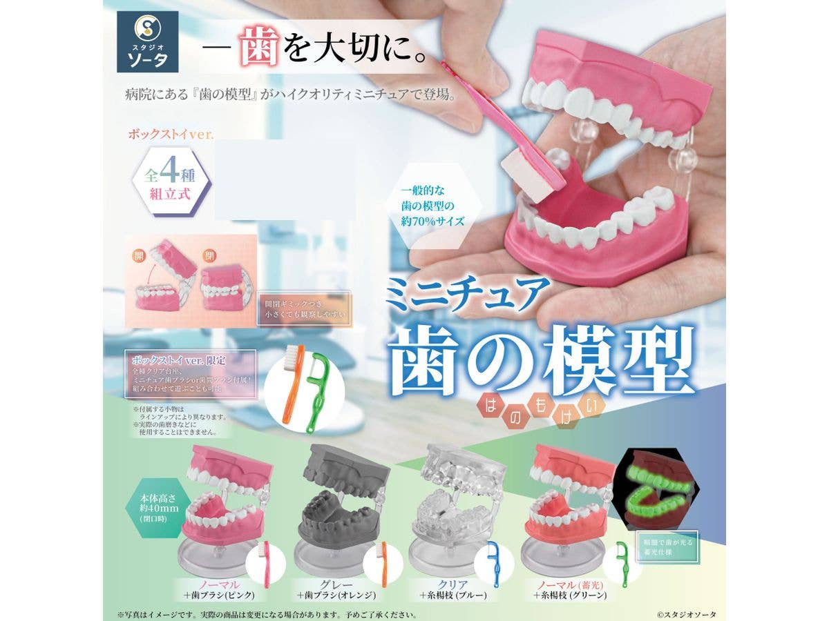 Miniature Tooth Model 1Box 4pcs