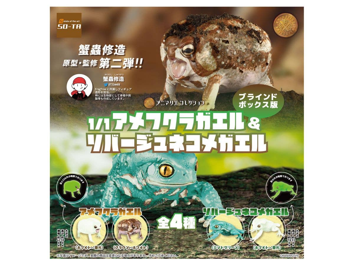 Animalier Collection Breviceps Adspersus & Phyllomedusa Sauvagii: 1Box (4pcs)