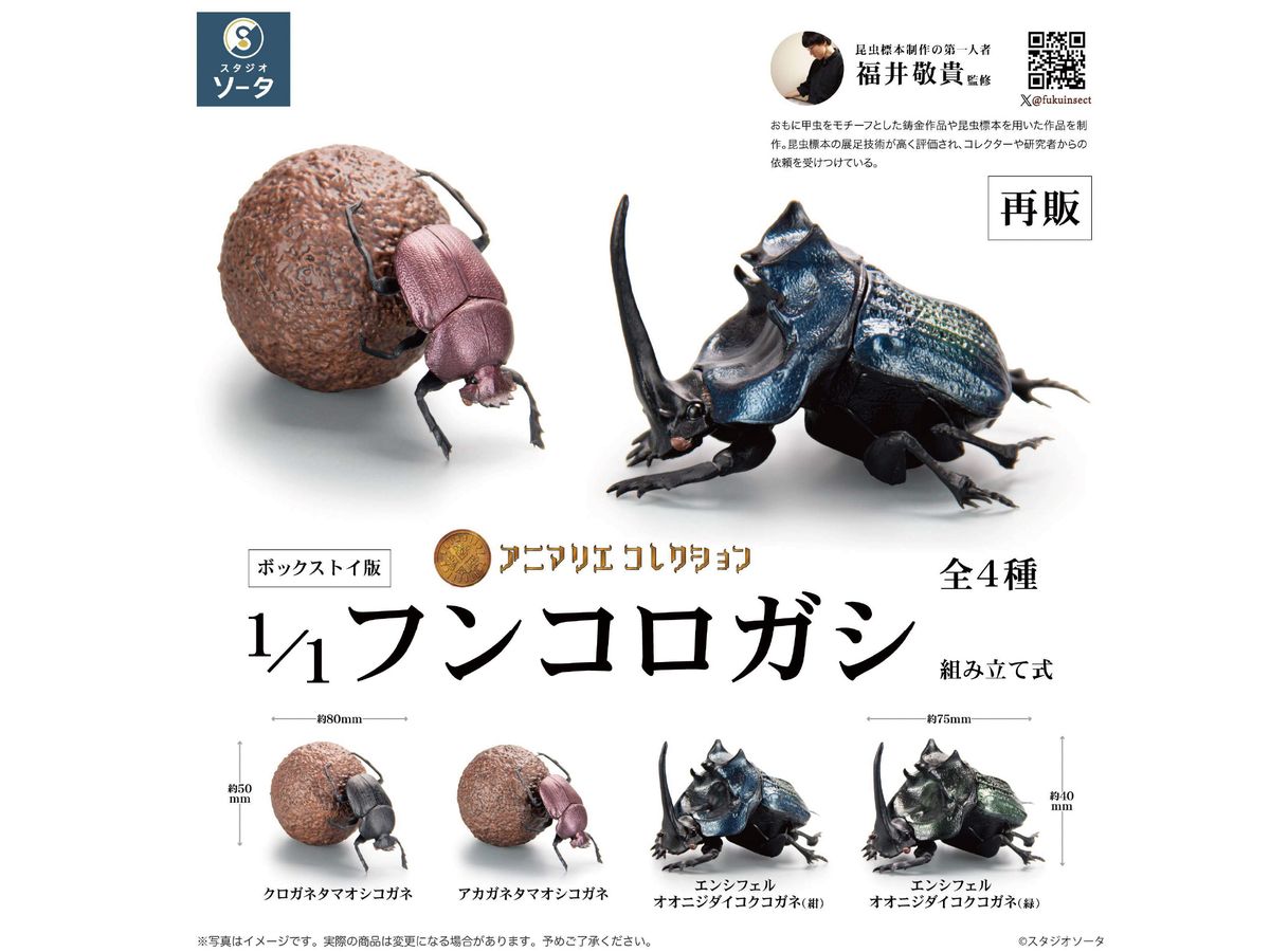 Animalier Collection Dung Beetle: 1Box (4pcs) (Reissue)