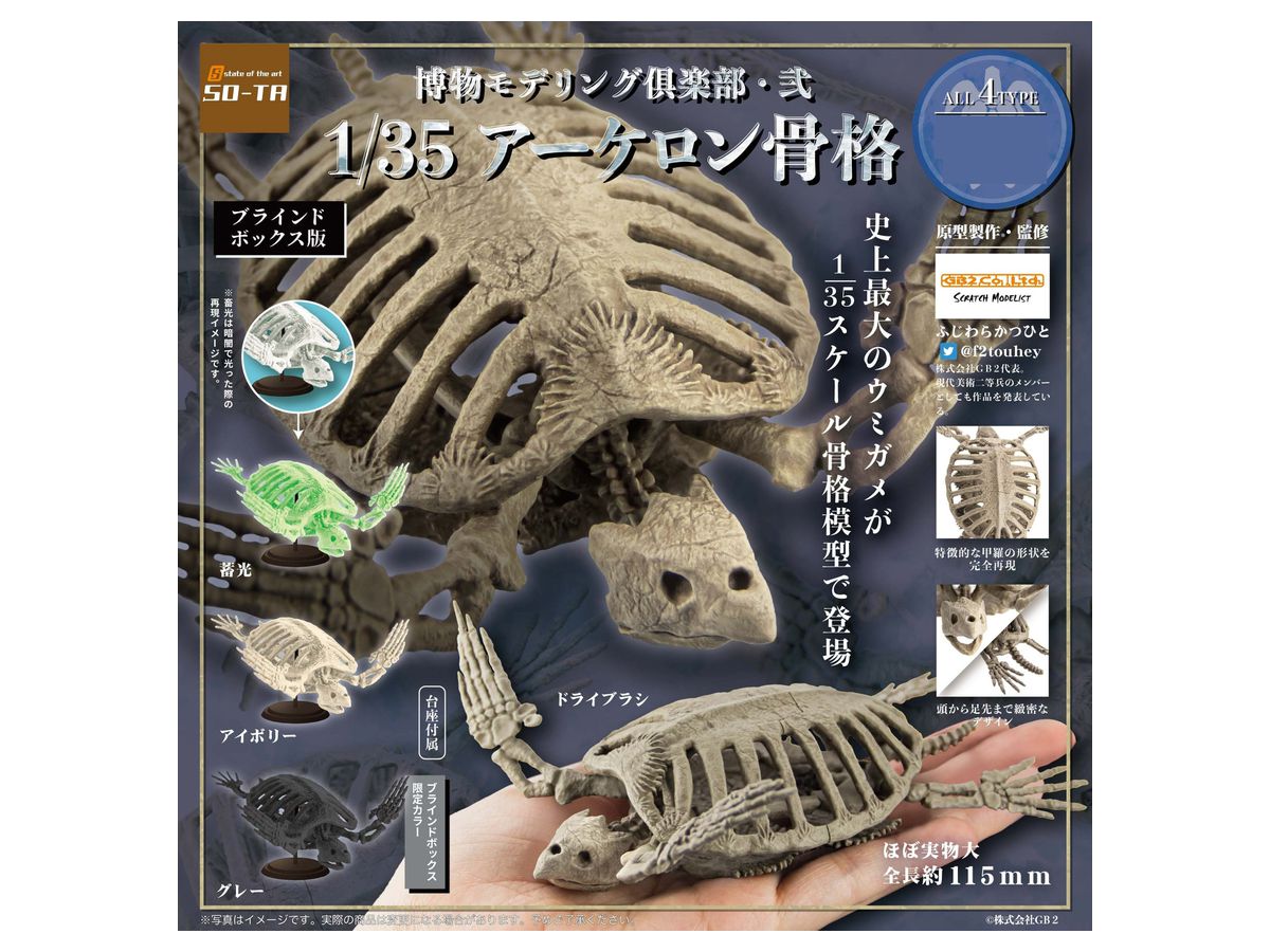 Natural History Modeling Club 2 Archelon Skeleton: 1Box (4pcs)