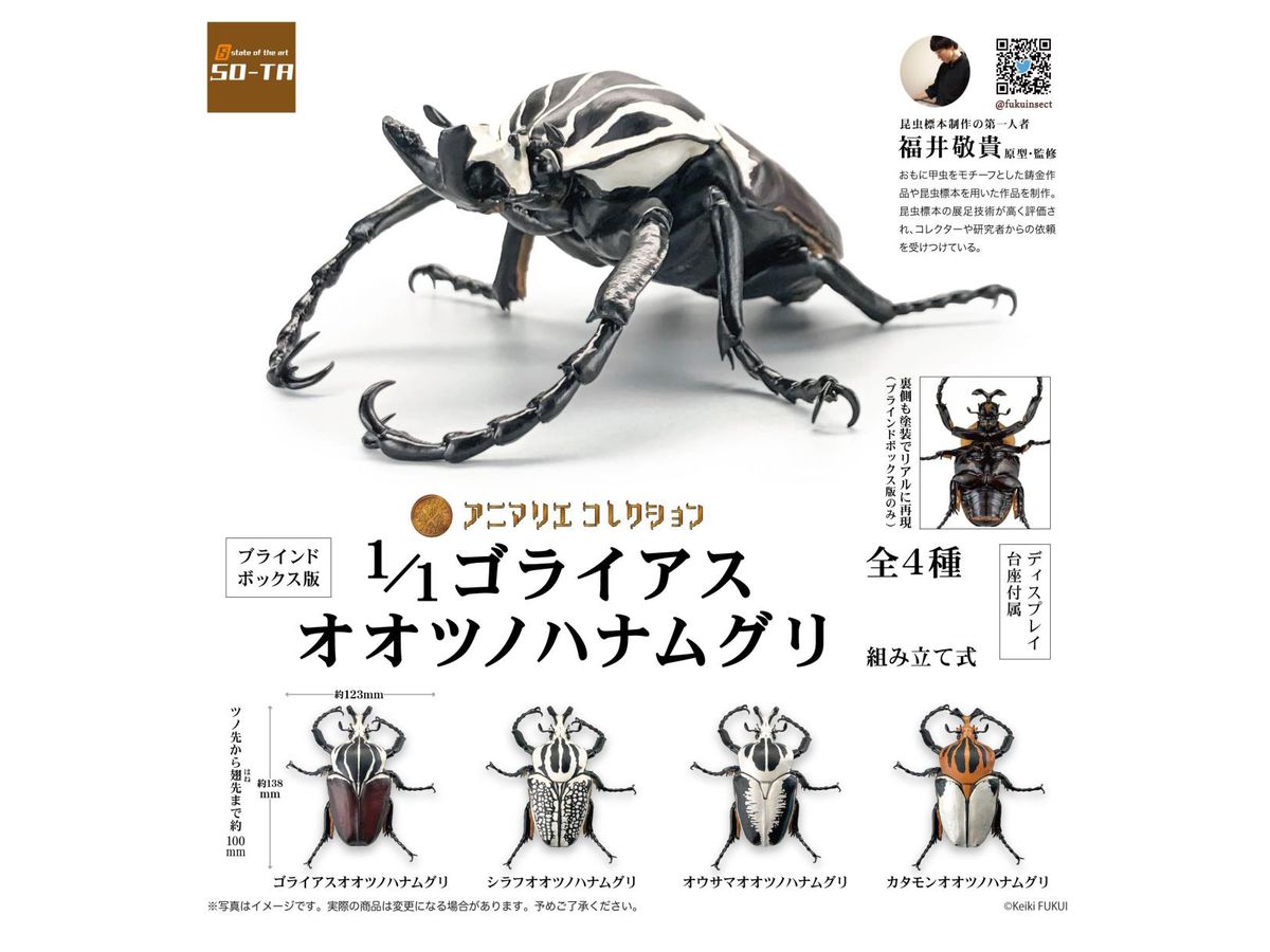 Animalier Collection Goliath Bighorn Beetle 1Box 4pcs