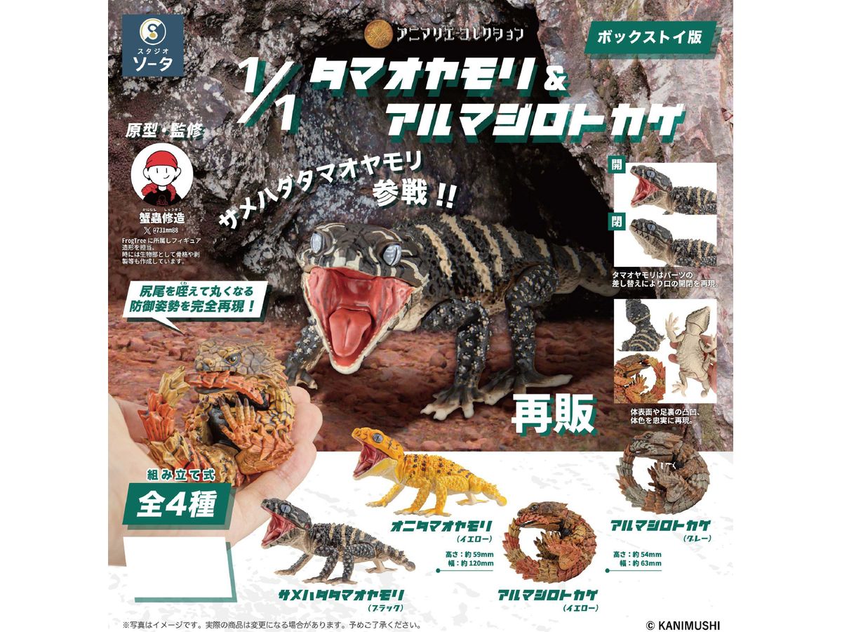 Animalier Collection Nephrurus & Ouroborus Cataphractus: 1Box (4pcs) (Reissue)